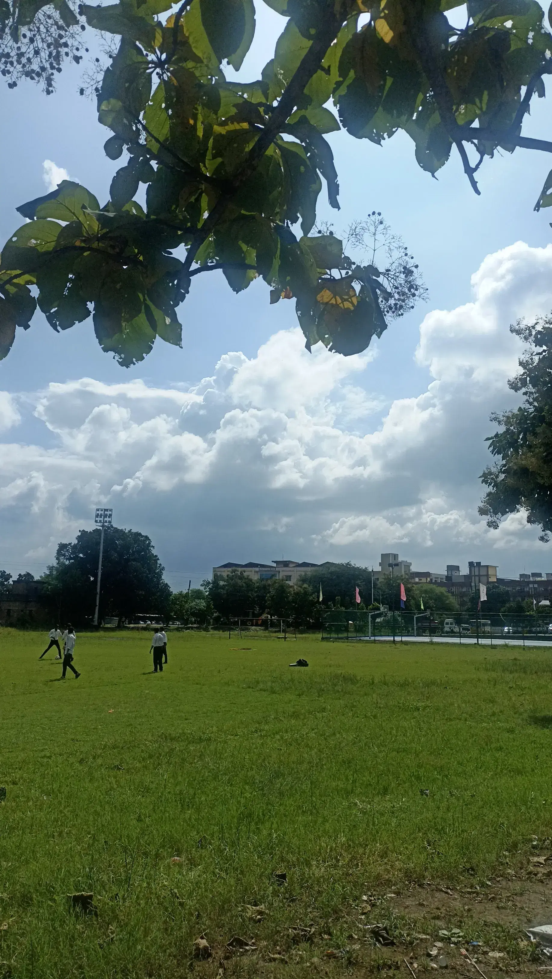 LNCT University Bhopal Sports photo 11